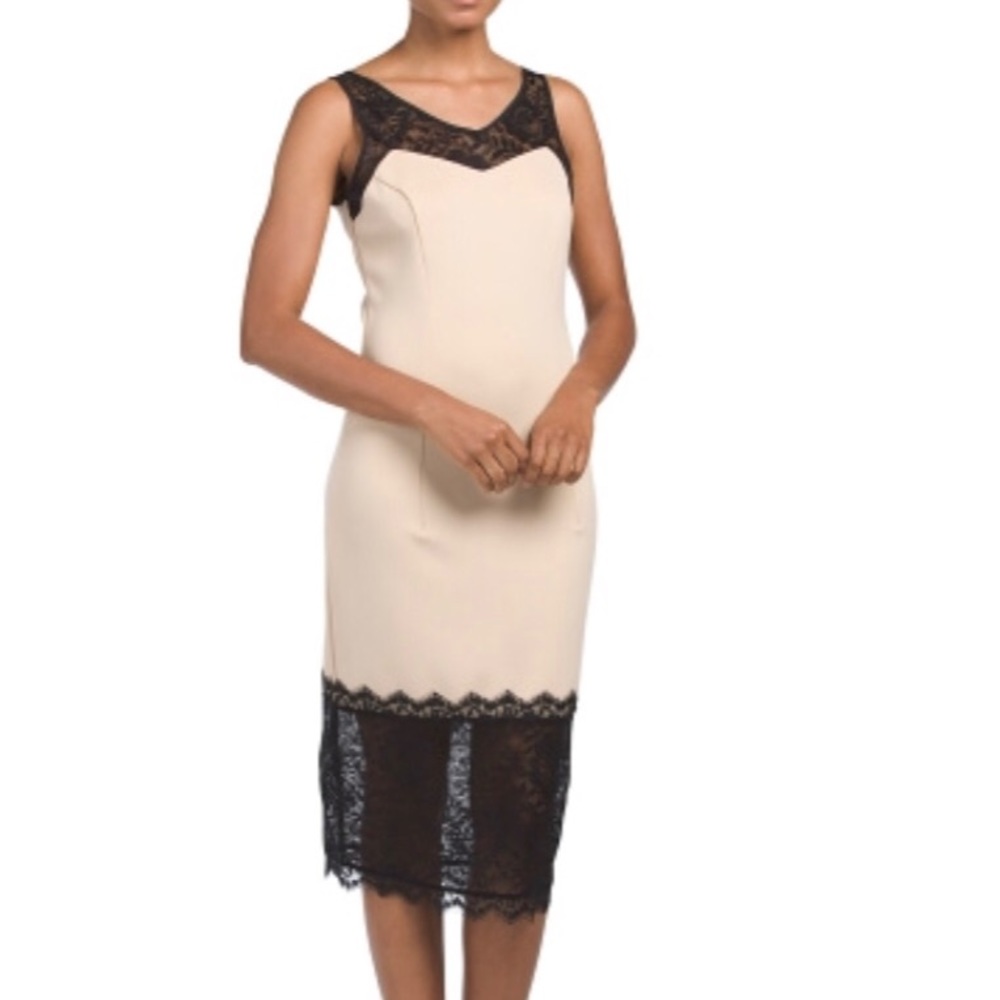 ALEXIA ADMOR nude Lace Trim Sheath Dress